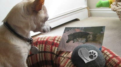 Pet Memorial Stone - Forever in My Heart Dog & Cat Memorial Gift
