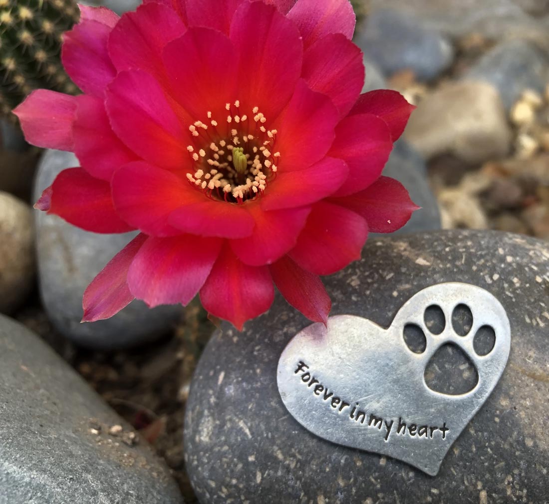 Pet Memorial Stone - Forever in My Heart Dog & Cat Memorial Gift